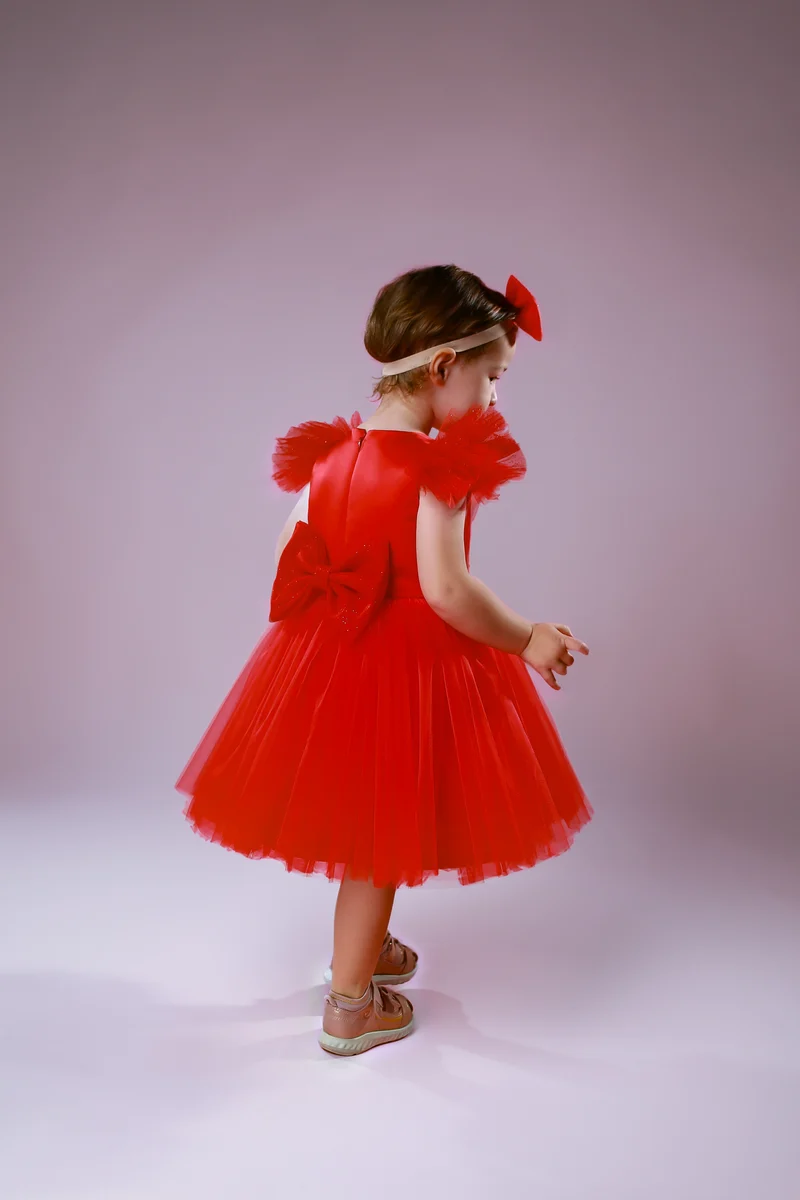 Blumenmädchenkleid Mädchen mit Tüll – festliches Kleid Gr. 68–98 sofort lieferbar