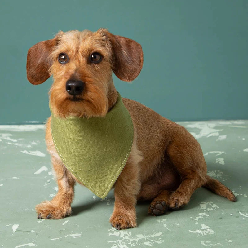 Hundehalstuch aus Leinen | wendbar & verstellbar