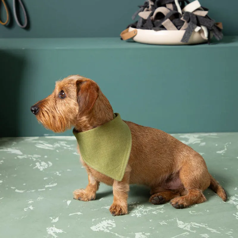 Hundehalstuch aus Leinen | wendbar & verstellbar