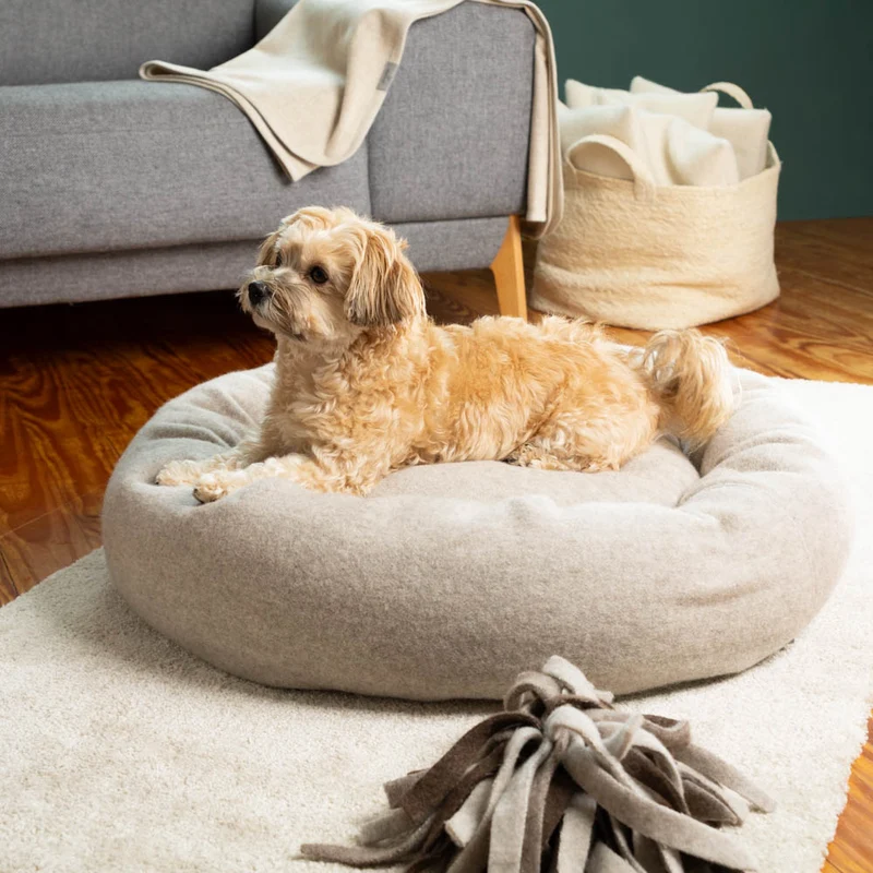Premium Hundedonut | mongolische Merinowolle | Naturfüllungen