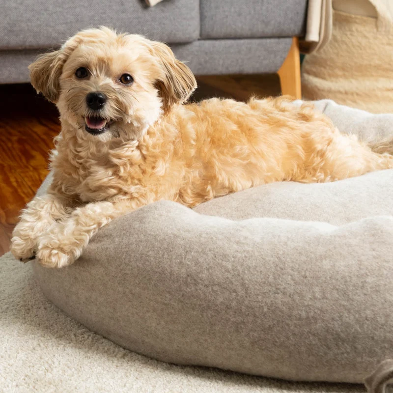Premium Hundedonut | mongolische Merinowolle | Naturfüllungen