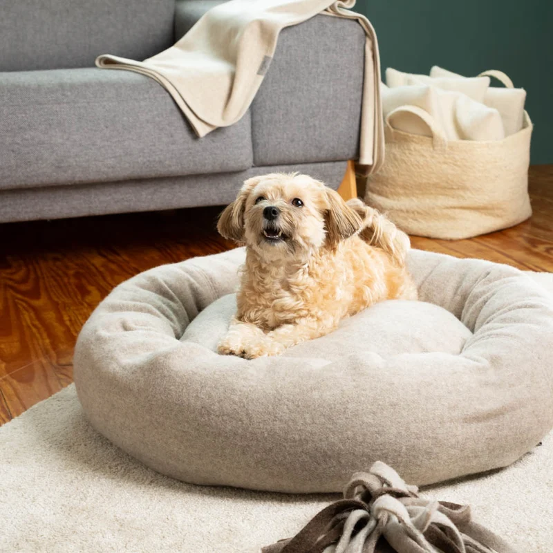 Premium Hundedonut | mongolische Merinowolle | Naturfüllungen