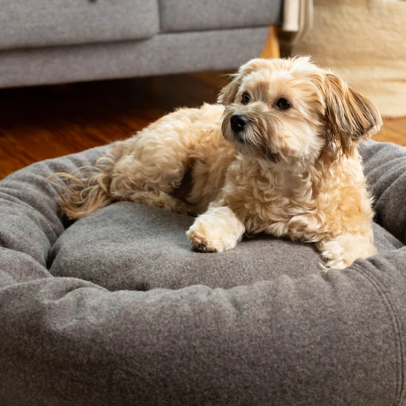 Hundedonut aus Loden | 100 % Schurwolle | Naturfüllungen