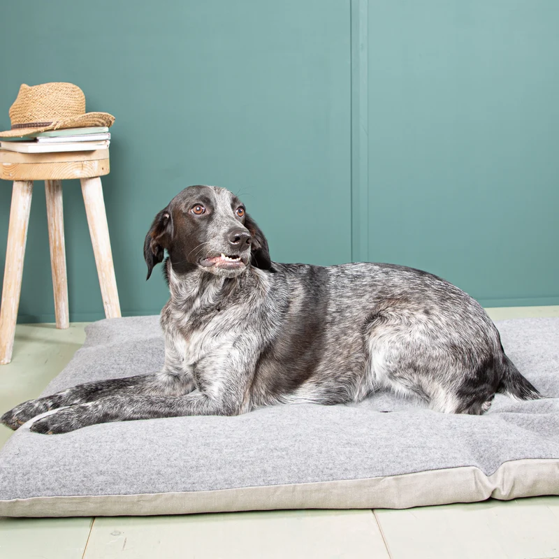Ersatzbezug Hundekissen | Loden & Bioleinen | ohne Füllung