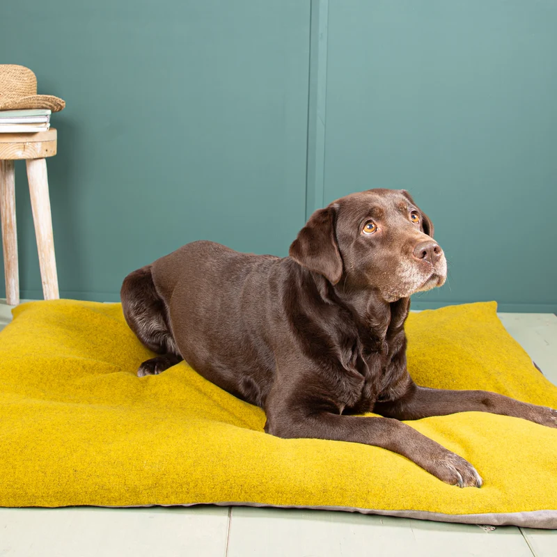 Ersatzbezug Hundekissen | Loden & Bioleinen | ohne Füllung