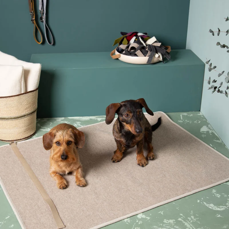 Hundematte aus Loden | 100 % Schurwolle | mit Transportgurt