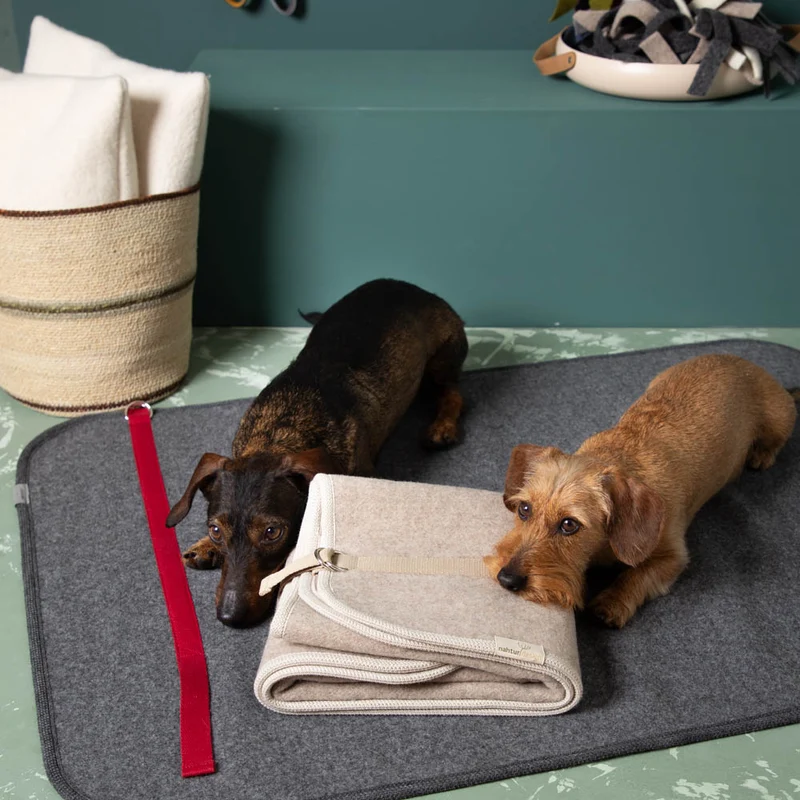 Hundematte aus Loden | 100 % Schurwolle | mit Transportgurt
