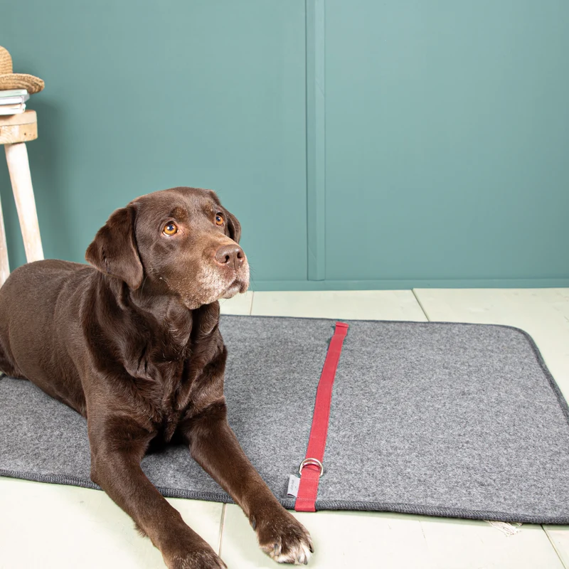 Hundematte aus Loden | 100 % Schurwolle | mit Transportgurt