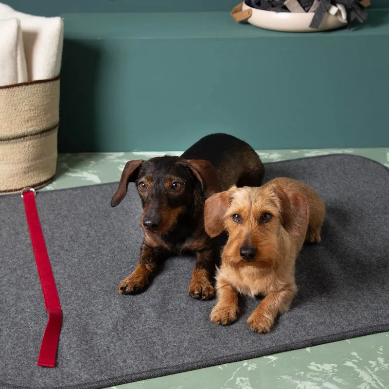 Hundematte aus Loden | 100 % Schurwolle | mit Transportgurt