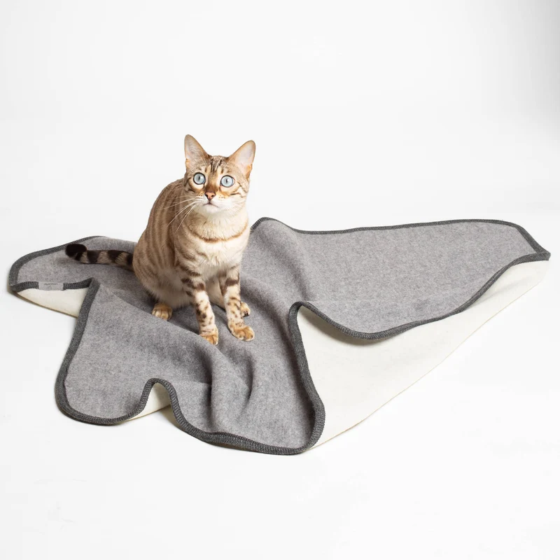 Katzendecke aus Loden | 100 % Schurwolle