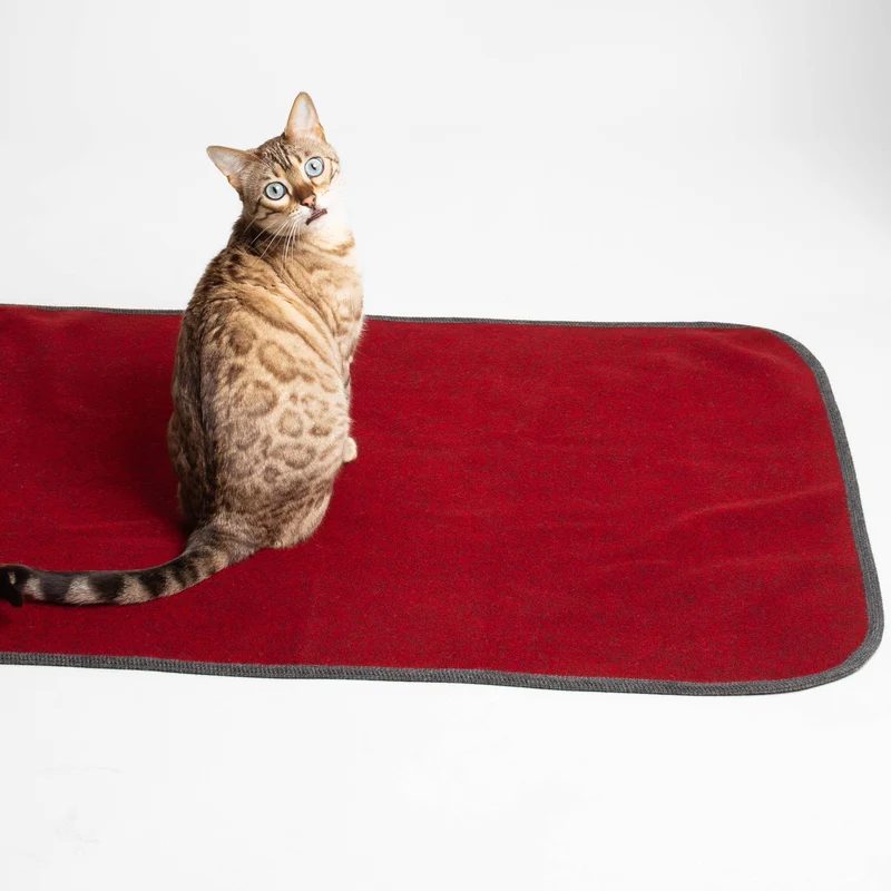 Katzendecke aus Loden | 100 % Schurwolle