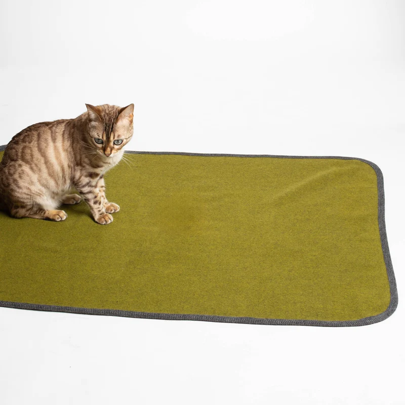 Katzendecke aus Loden | 100 % Schurwolle