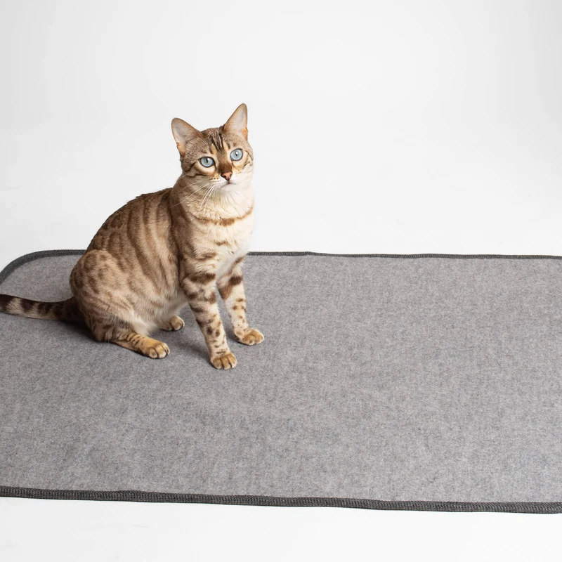 Katzendecke aus Loden | 100 % Schurwolle