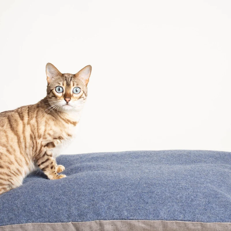 Katzenkissen aus Schurwolle & Bioleinen | Dinkelspelzfüllung