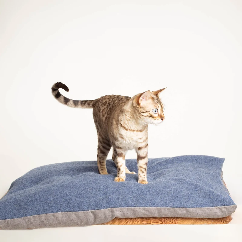 Katzenkissen aus Schurwolle & Bioleinen | Dinkelspelzfüllung