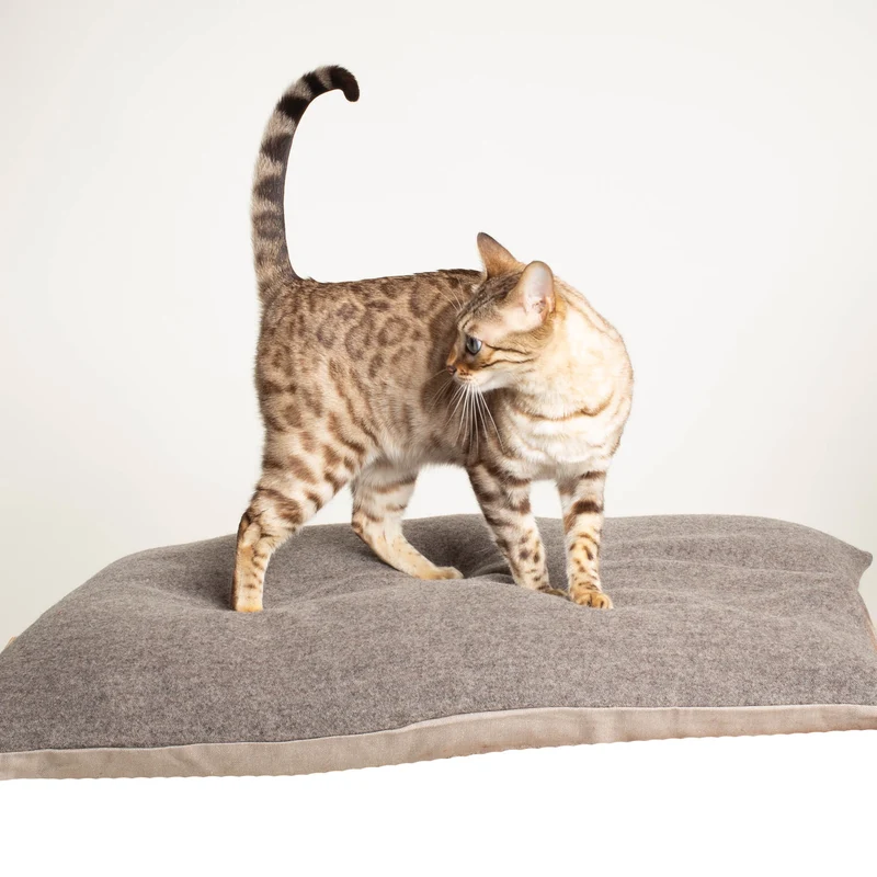 Katzenkissen aus Schurwolle & Bioleinen | Dinkelspelzfüllung
