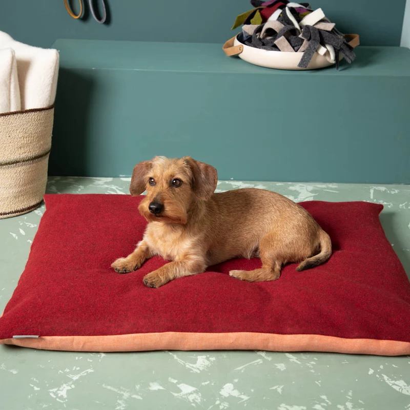 Hundekissen aus Schurwolle & Bioleinen | Dinkelspelzfüllung
