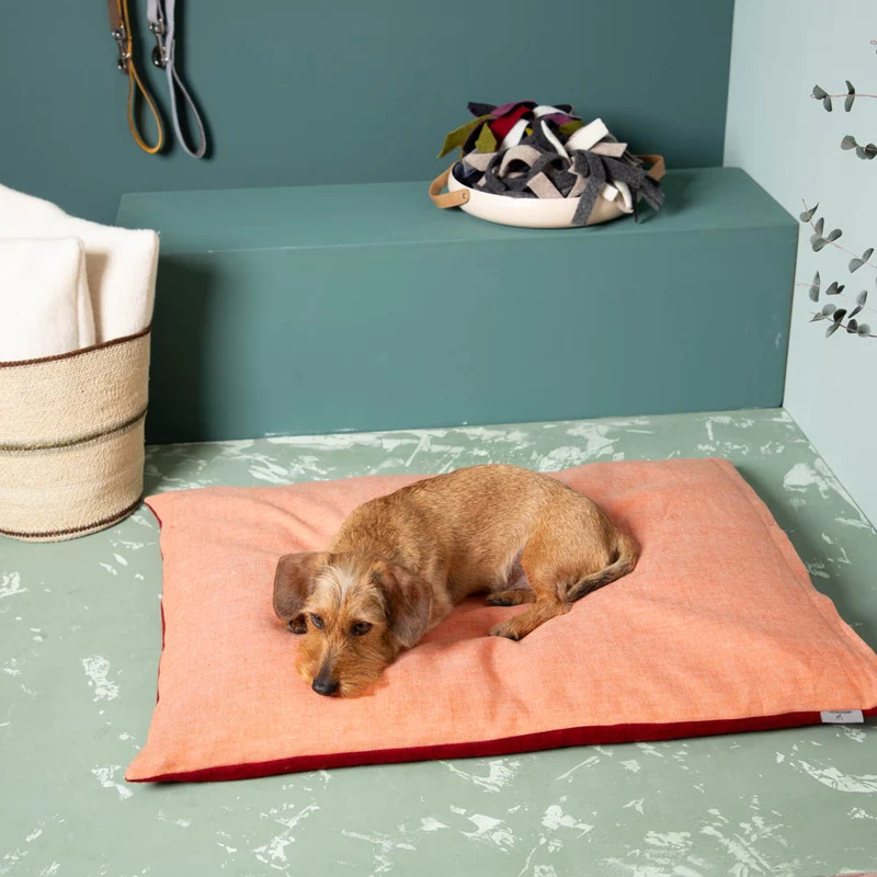 Hundekissen aus Schurwolle & Bioleinen | Dinkelspelzfüllung