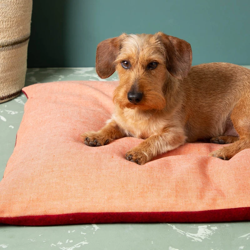 Hundekissen aus Schurwolle & Bioleinen | Dinkelspelzfüllung