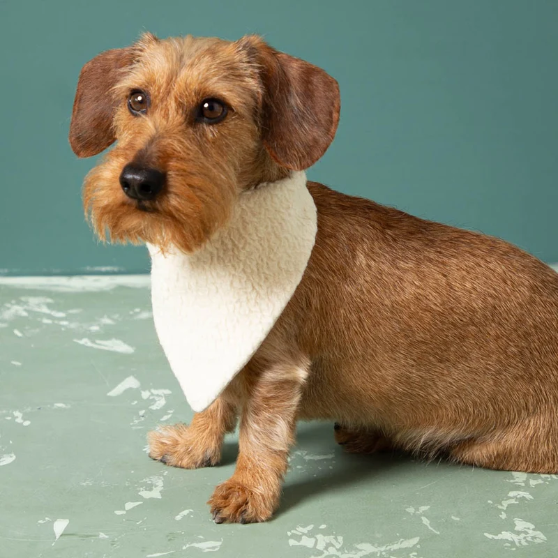 Hundehalstuch aus Wollplüsch & Feinloden | 100 % Wolle