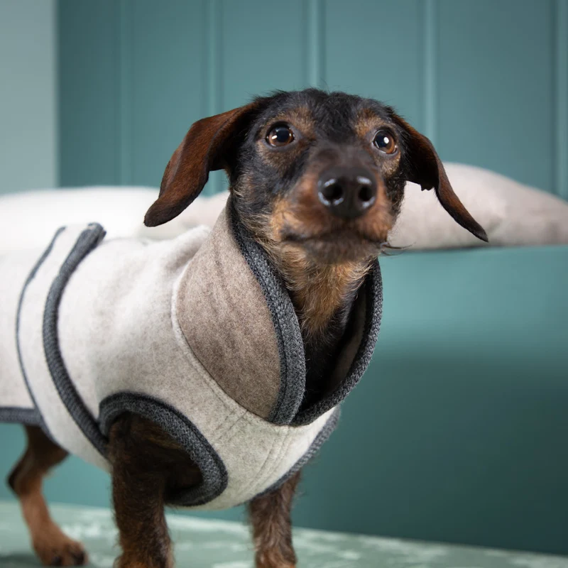 Premium Hundemantel | Standardform | aus Loden | mongolische Merinowolle