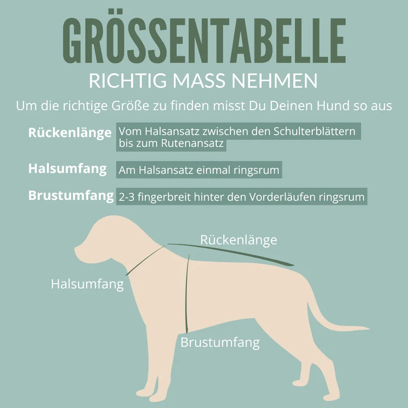 Premium Hundemantel | Standardform | aus Loden | mongolische Merinowolle