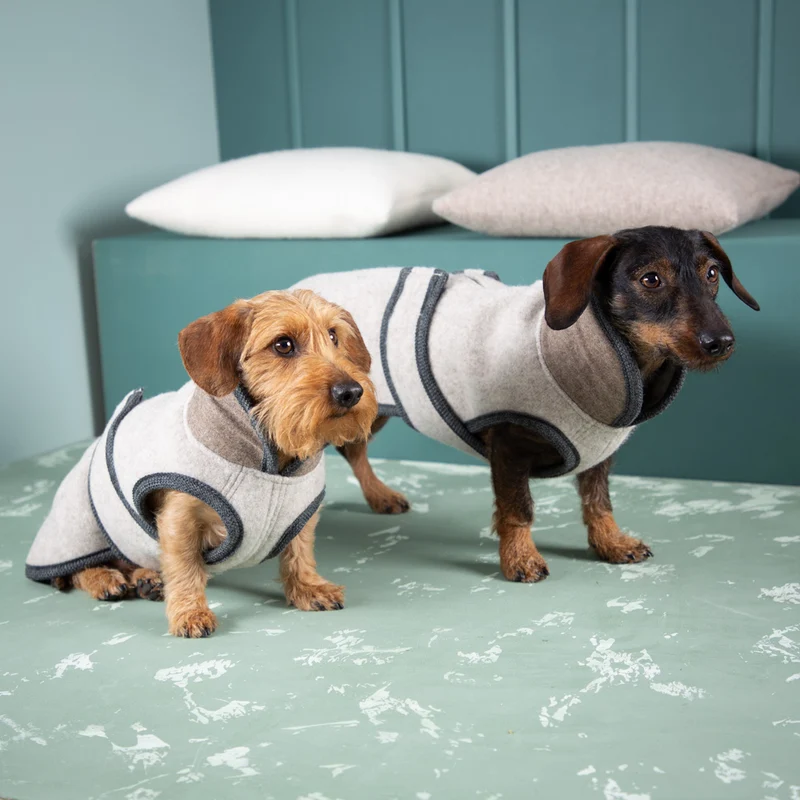Premium Hundemantel | Standardform | aus Loden | mongolische Merinowolle