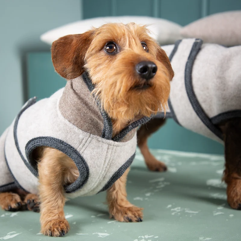 Premium Hundemantel | Standardform | aus Loden | mongolische Merinowolle