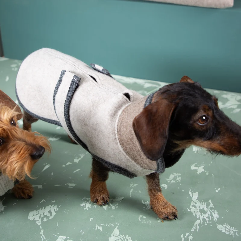 Premium Hundemantel | Dackelform | aus Loden | mongolische Merinowolle