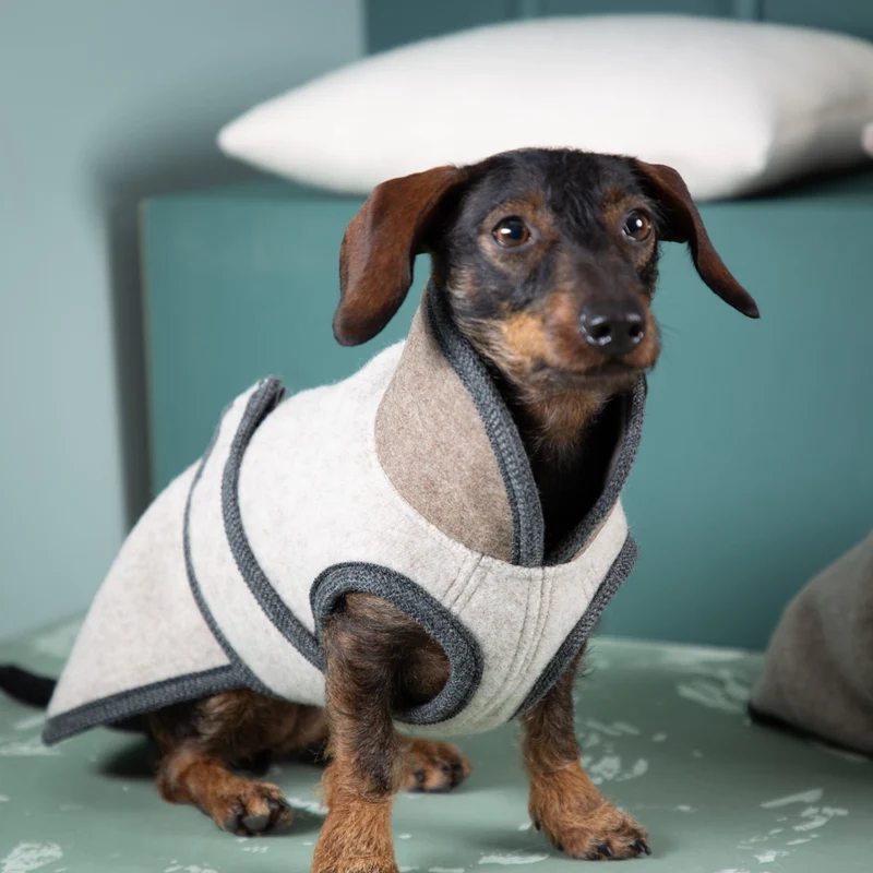 Premium Hundemantel | Standardform | aus Loden | mongolische Merinowolle