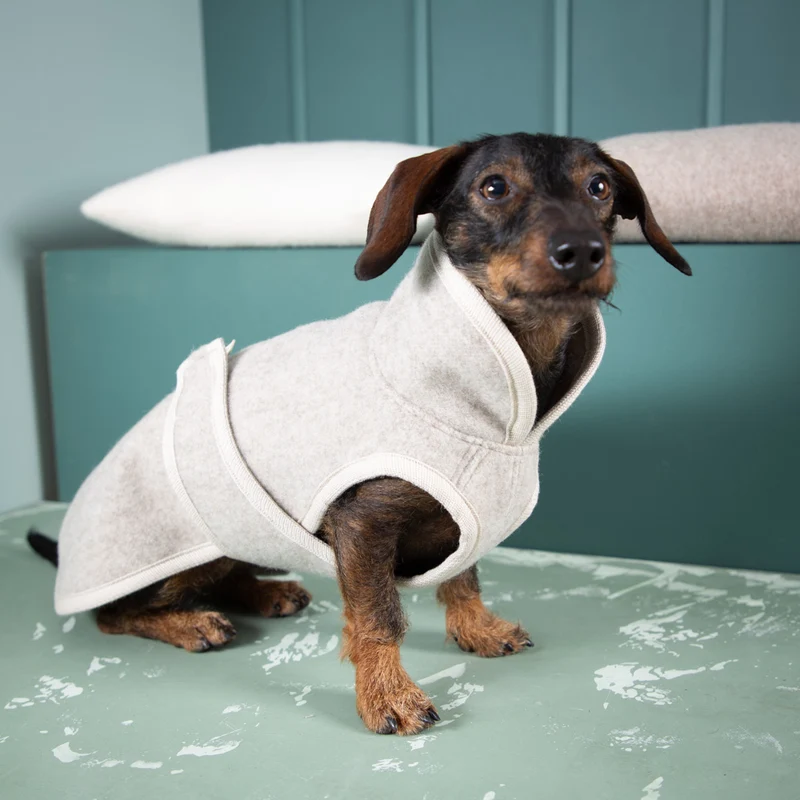 Premium Hundemantel | Bulliform | aus Loden | mongolische Merinowolle