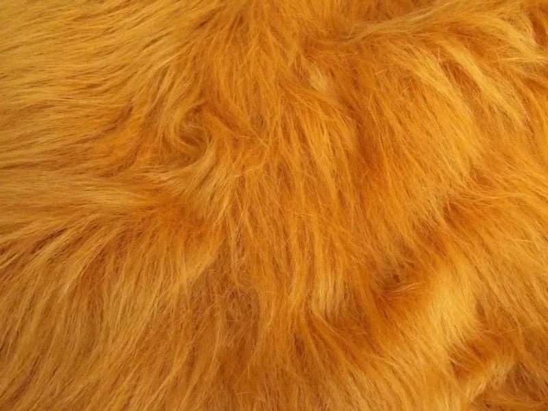Plain Faux Fur 75mm Long Pile ideal for clothing, pet beds 58" Wide Mtex MT931
