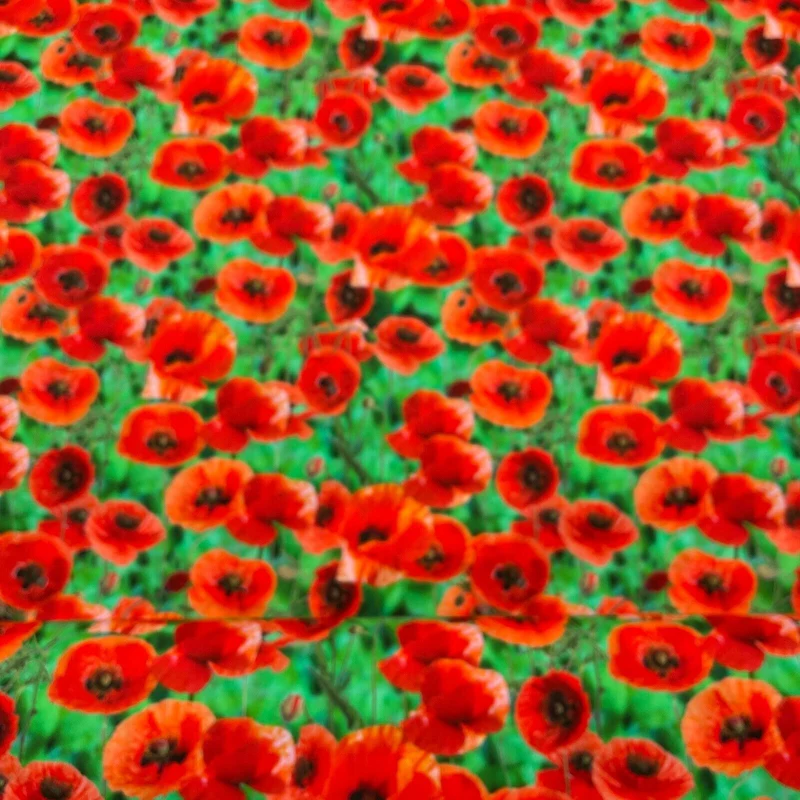 Cotton Poppy fabric Emerald Green & Red Floral printed dress poplin M1695
