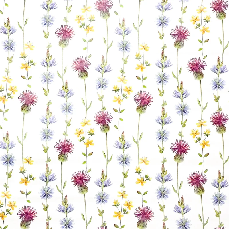 Wachstuch Tischdecke K150221 Feldblumen Kornblume eckig rund oval