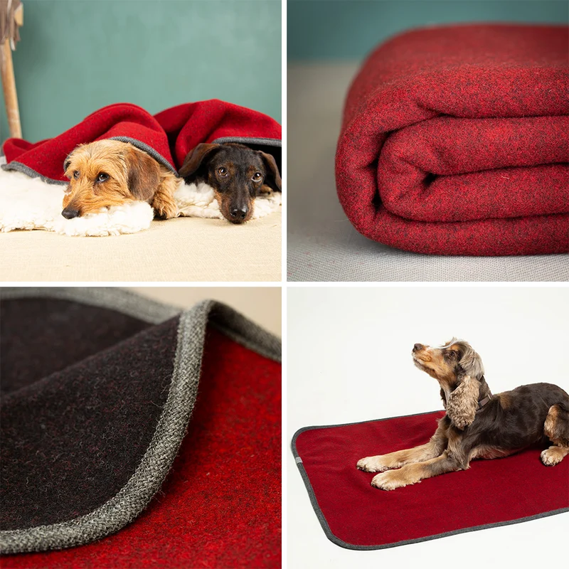 Hundedecke aus Schurwolle | Flauschloden