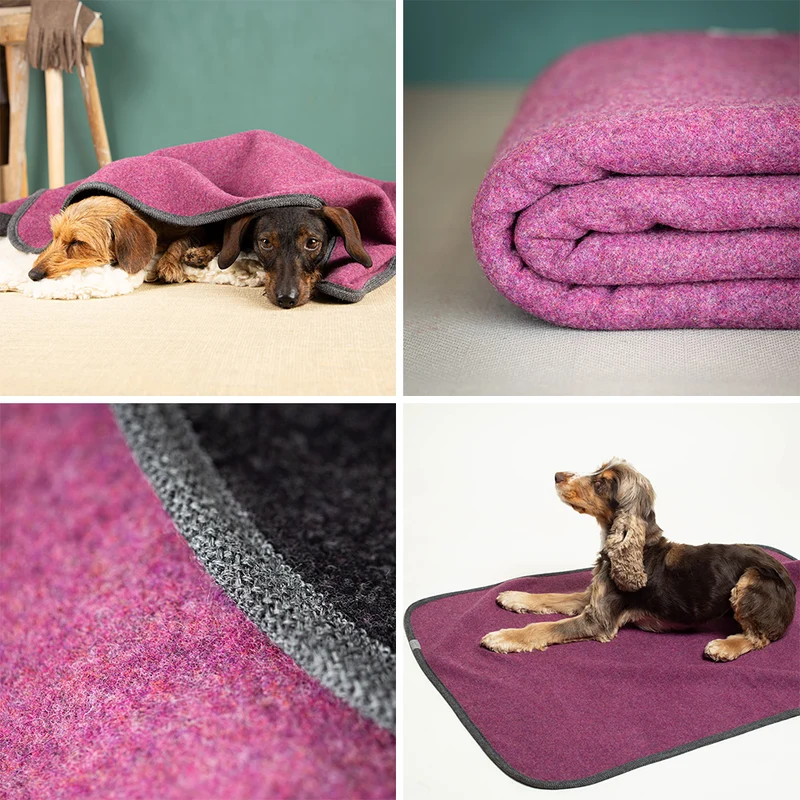 Hundedecke aus Schurwolle | Flauschloden