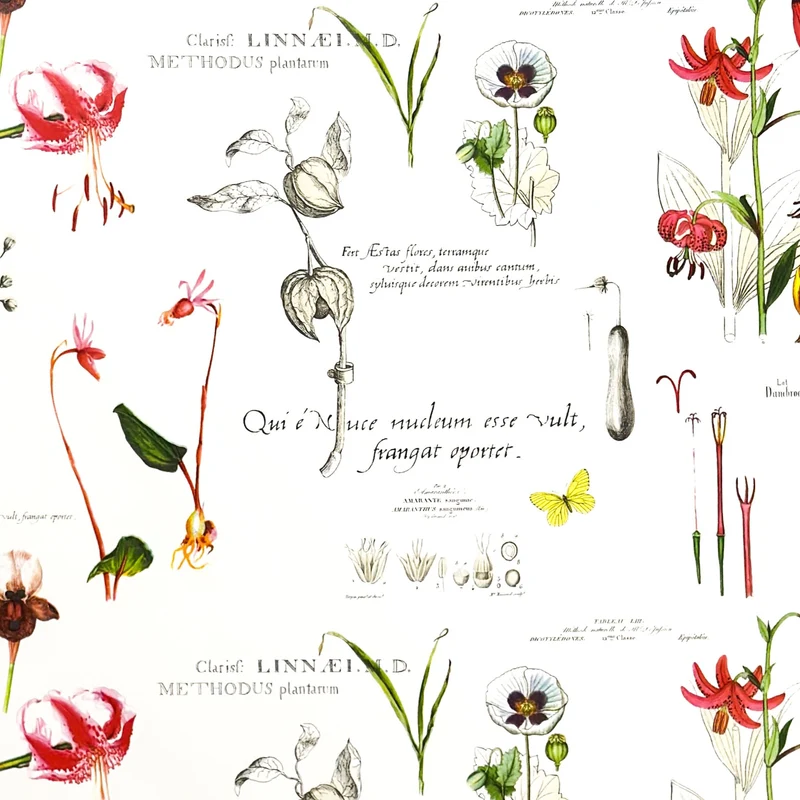 Wachstuch Tischdecke K-OZ8044 Blumen und Blüten Botanik eckig rund oval