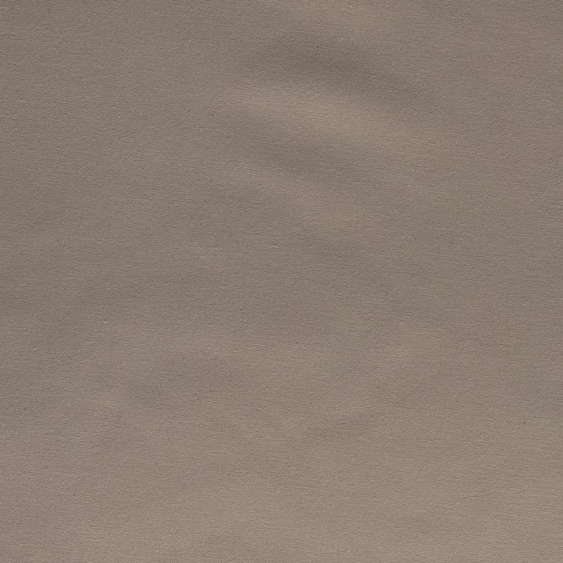 Cotton Uni - sand 280 cm