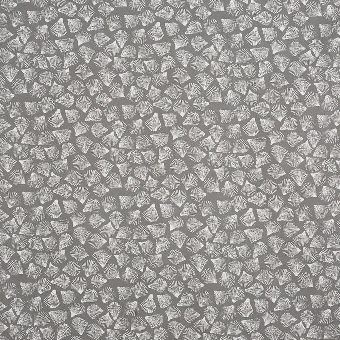 Bio Shell - shale