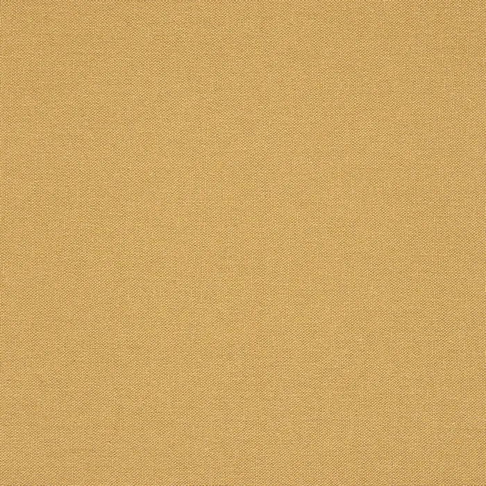 Canvas - corn