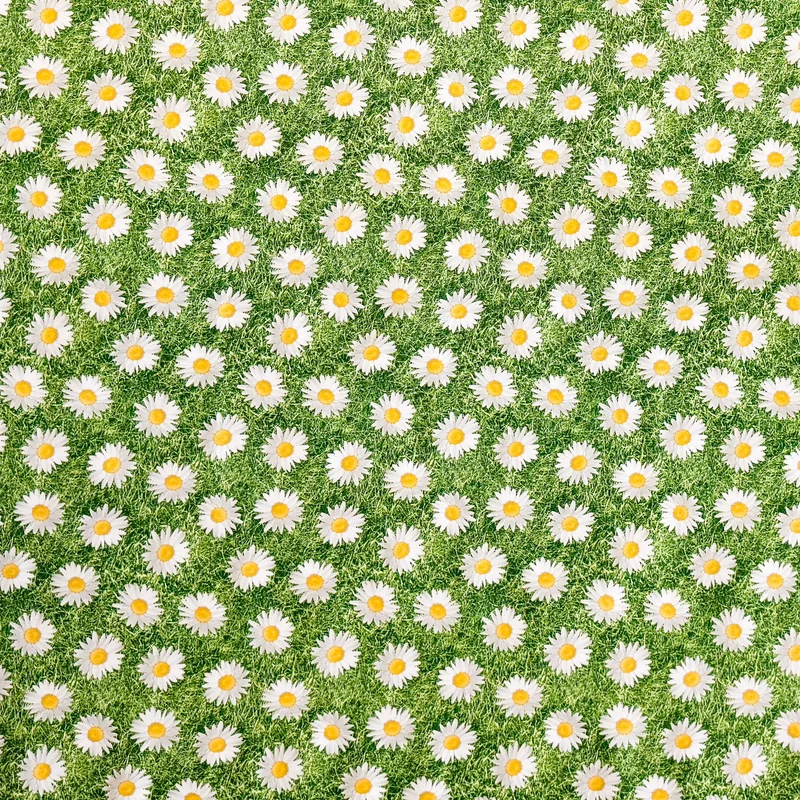Wachstuch Tischdecke M19149 Gänseblümchen Blumenwiese eckig rund oval Meterware