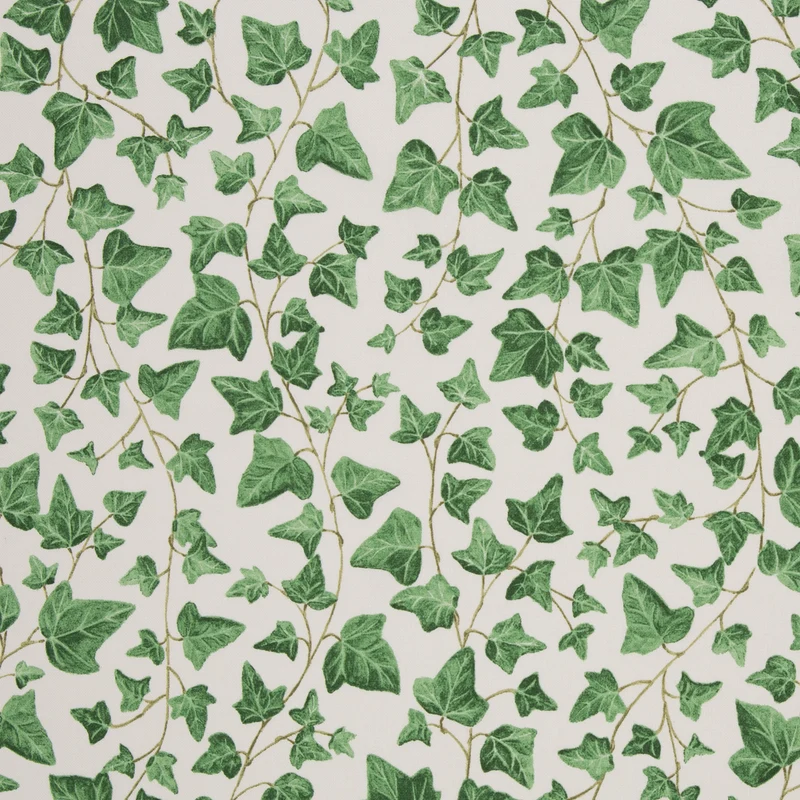 Canvas - Efeu - 10 cm