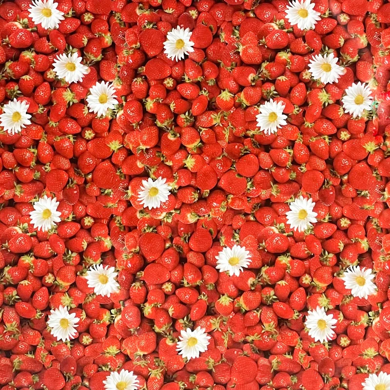Wachstuch Tischdecke 01156-00 Erdbeeren Früchte Garten Sommer eckig rund oval