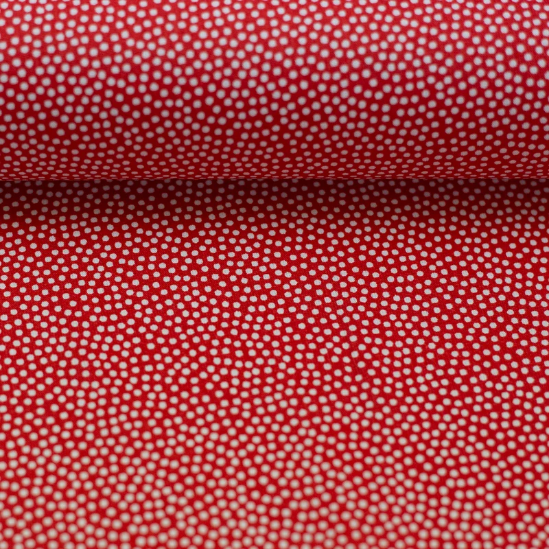 Dotty Webware - 10 cm